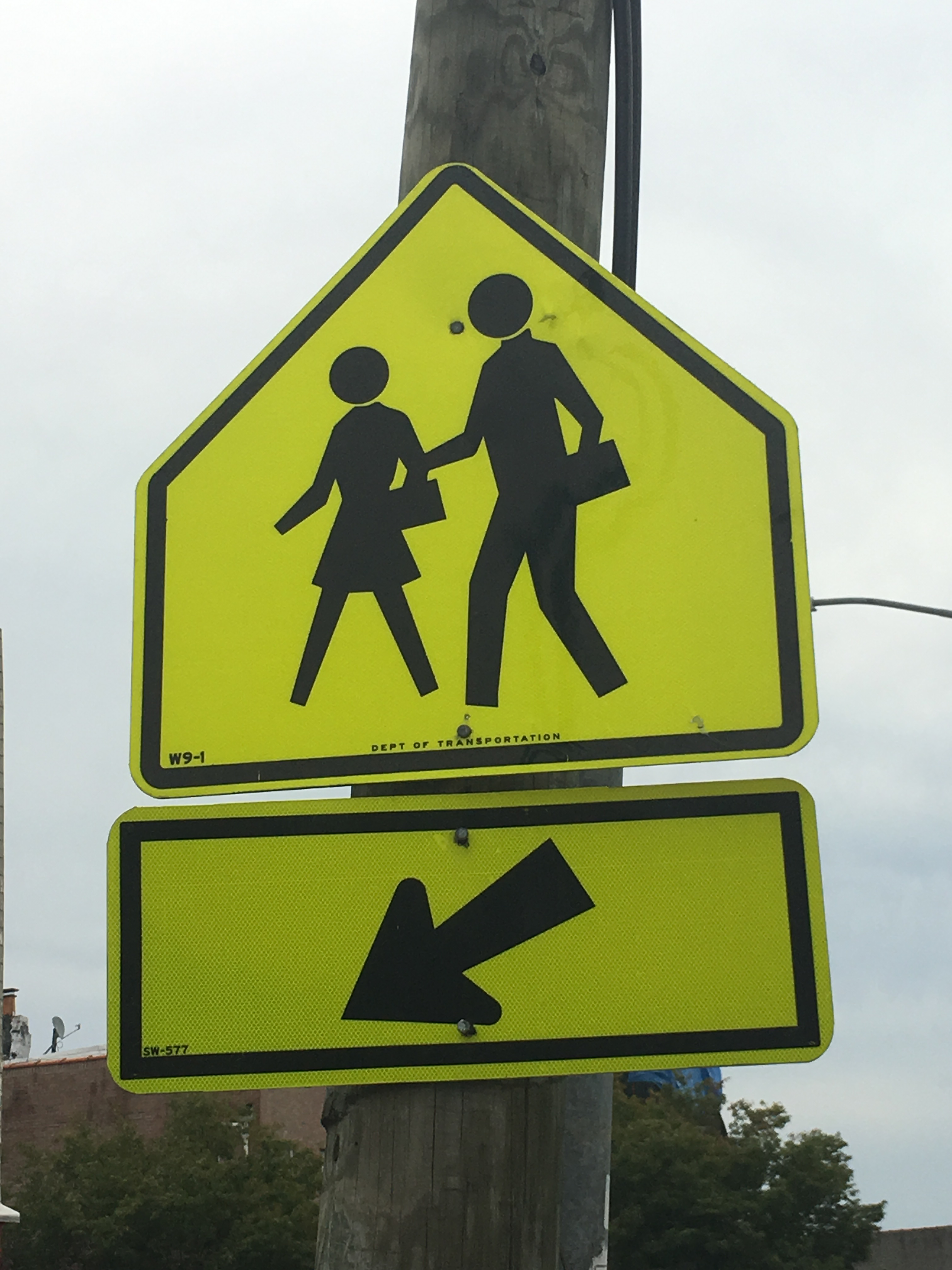 Student Crossing Here